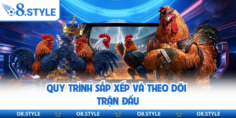 Quy trình sắp xếp và theo dõi trận đấu