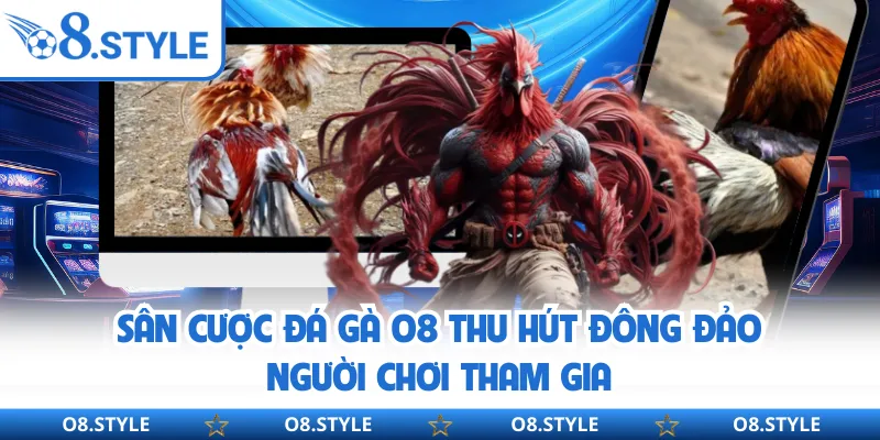 Sân cược đá gà O8 thu hút đông đảo người chơi tham gia